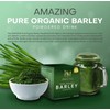 XLXZHYF Amazing Pure Organic Barley Powder Drink Mix from Australia,