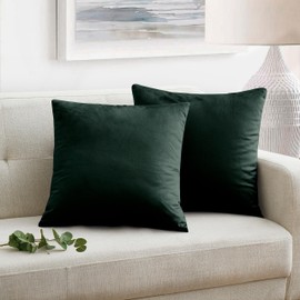 Oxford Homeware Velvet Cushion Covers Pack of 2 Square Throw Pillow Cases Soft Decorative Cushion Cover for Bedroom Living Room with Invisible Zipper (Dark Green, 18 x 18 Inch (Plain))