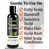 Organic Tea Tree Conditioner for Hair - Hair Conditioner for
