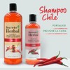 Shampoo de Chile, prevención caída y fortalecimiento Secreto Herbal. 500