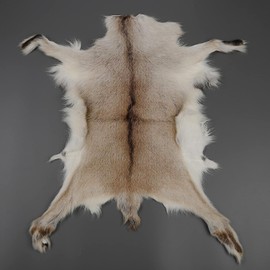 Natural Tanned Goat Hide Sheep Skin Antelope Fur Hide Pelt Rug Taxidermy Hunting Trophy and Plush Fur Clothing Liner Bag Accessories 1PCS (16X16IN) Light Brown