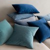 MIULEE Decorative Velvet Cushion Covers – Set of 2 Throw