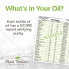 Plant Therapy Chakra 7 Higher Connection (Crown Chakra) Essential Oil