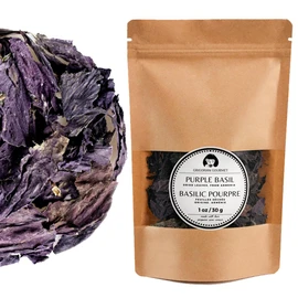 Generic Purple Basil (Ocimum basilicum) Italian Armenian Greek Basil Caffeine Free (1 OZ = 30 grams) Premium Quality Grown in Armenia