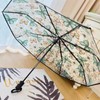 XiranYien Butterfly Clear Umbrella Women Elegant Unique Automatic Open Close