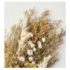 Hearth and Hand 2pk Preserved Grass Flower Stems Bundle From