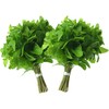 Rani Fresh Mint (Pudina) Leaves 2oz - 4oz,Pack of 2