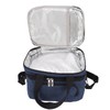 Collapsible Cooler Bag Oxford Cloth PEVA Leakproof Double Insulated Cooler