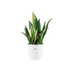 Elho Brussels Diamond Round 14 - Indoor Planter - White,