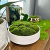 NAHARO New Moss Bowl, Handmade Ceramic Bowl. 11" Artificial Moss