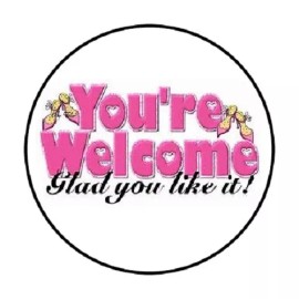 Homemade 48 YOU'RE WELCOME, GLAD YOU LIKE IT . ENVELOPE SEALS LABELS STICKERS 1.2" ROUND