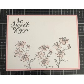 Stampin' Up! Card Set Of 4 Stampin Up Peekaboo Peach Simply Soft One Layer Cards