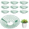 Strawberry Support Stand, Pack of 10 Strawberry Rippers and Fruit