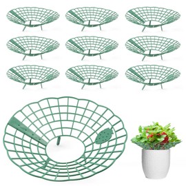 Strawberry Support Stand, Pack of 10 Strawberry Rippers and Fruit Rippers, Adjustable Plastic Fruit Ripper, Strawberry Rack Strawberry Ripe Support, Strawberry Grid Protect Against Rot & Mould