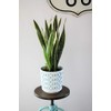 AZTEK Flowerpot Ø 25.5, H:27 cm | Flower casing |