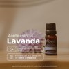 Aceite Esencial de Lavanda 100% Puro 10 ml Aroma Floral