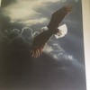 Limited Edition Print Out of The Storm-Eagle-Terry Isaac