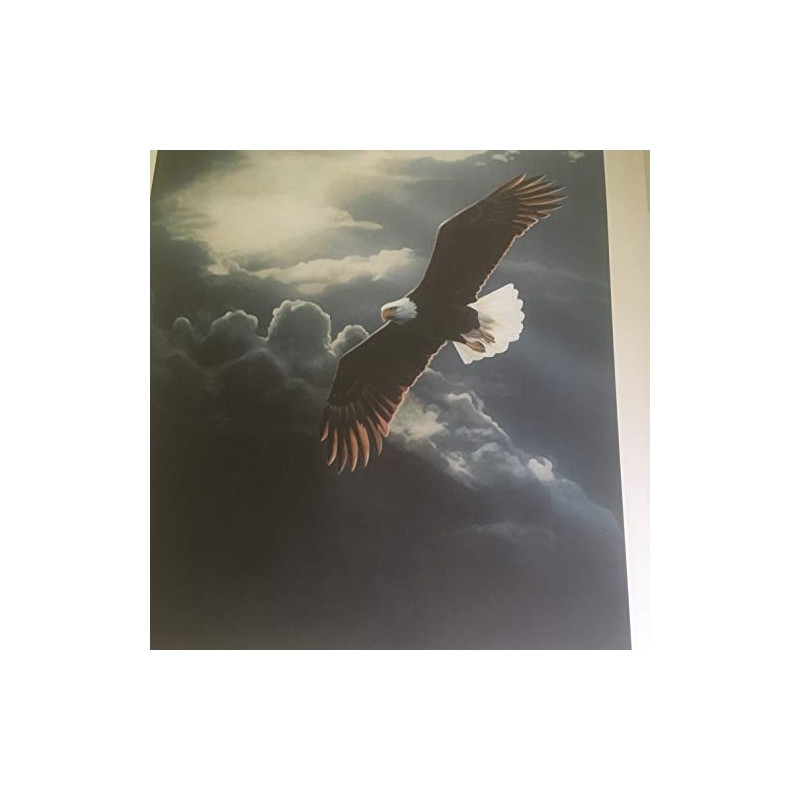 Limited Edition Print Out of The Storm-Eagle-Terry Isaac