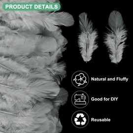 M METERXITY 600-Pack Saddle Hackle Rooster Feather, 1.6-3 Inch / 4-8cm Bulk Natural Fluffy Feathers for Crafting/Wedding/Dream Catcher/DIY Crafts Decorations [Grey]