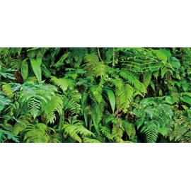 MIRRORANG 180 x 61 cm Tropical Terrarium Background Tropical Plants Leaves Aquarium Background Rainforest Reptiles Habitat Background Durable Vinyl Background
