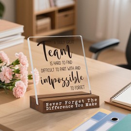 Team Appreciation Acrylic Desk Sign, Thank You Gift for Coworkers Boss Employees, Inspirational Office Decor Plaque with Quote, Farewell Retirement Recognition Keepsake for Women Men TZ301