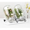 Sprouting Jar Kit 16oz Wide Mouth Mason Jars with Stainless