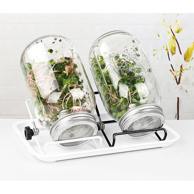 Sprouting Jar Kit 16oz Wide Mouth Mason Jars with Stainless