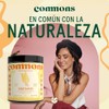 Hongo Shatavari Extracto Puro Polvo 100 Suplemento Natural Cuerpo Fructífero