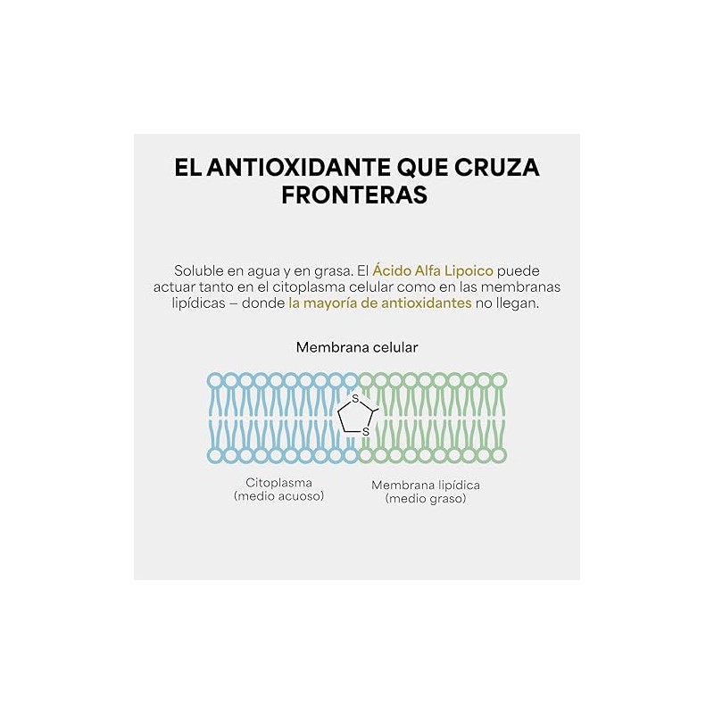 Ácido Alfa Lipoico Ala 200 Por Dosis 120 Cápsulas Pureza