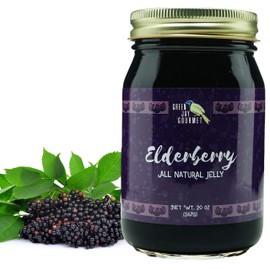 Green Jay Gourmet Elderberry Jelly – All-Natural Jam with Elderberries & Lemon Juice – Vegan, Gluten-free Jam - Contains No Preservatives or Corn Syrup – Made in USA Elderberry Jam – 20 Ounces