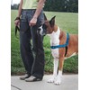 PetSafe Deluxe Easy Walk Dog Harness, Dog Harness for Medium-Size