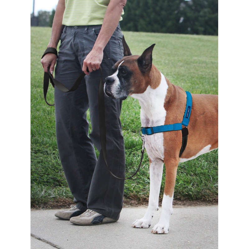 PetSafe Deluxe Easy Walk Dog Harness, Dog Harness for Medium-Size
