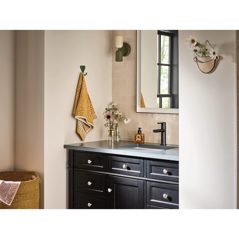 Moen Meena Matte Black One-Handle Single Hole Modern Bathroom Sink