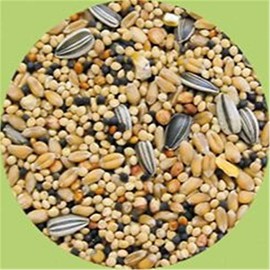 World's Best Gourmet Shelled Mixed Nuts (5 lb)