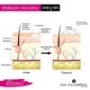 EXFOLIANTE FACIAL - BAMBÚ - ROSA MOSQUETA - ARROZ -
