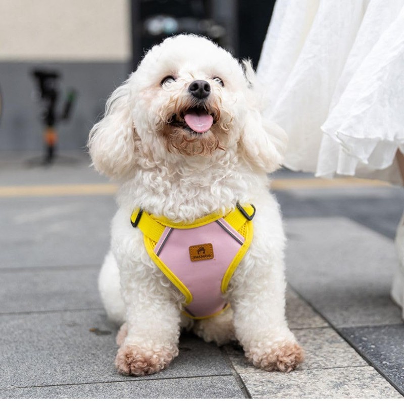 Dog Harness, Adjustable Mesh Vest, 8 Colors, Lightweight and Comfortable
