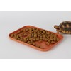WOLEDOE Reptile Large Water Dish, Tortoises Food Bowl - L