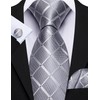 Barry.Wang Designer Classic Ties for Men Set Formal Pocket Square