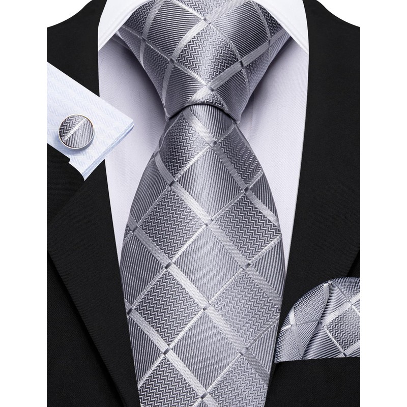 Barry.Wang Designer Classic Ties for Men Set Formal Pocket Square