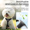 ThinkPet Arnés de ventilación reflectante transpirable suave sin tirones para