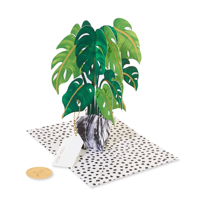 Papyrus Blank Pop Up Card (Plant)