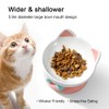 Ceramic Elevated Cat Bowl, Blue Anti Vomiting & Spine Protect,
