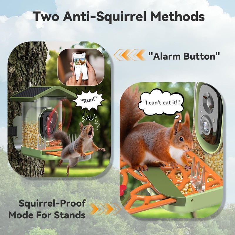 Smart Bird Feeder with Camera