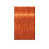 Schwarzkopf Igora Royal Color Creme Tube 0-77 Copper Concentrate by