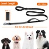 TwoEar 6FT 1IN Strong Black Dog Leash with 2 Padded