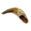 Traditional Natural Shofar Ram's Horn From Israel Certified Kosher (35-40