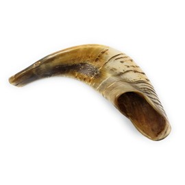 Traditional Natural Shofar Ram's Horn From Israel Certified Kosher (35-40 CM/13-15 Inch)