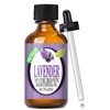 Healing Solutions 60ml Oils - Lavender Essential Oil - 2