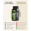 Plantomol® Basics Turmeric Capsules High Dose with Boswellia Frankincense Extract