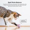 Cheerble 3 Interactive Modes Interactive Cat Toy Self-Employment, Automatic Cat